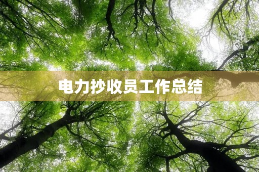 电力抄收员工作总结