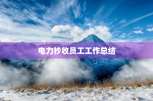 电力抄收员工工作总结
