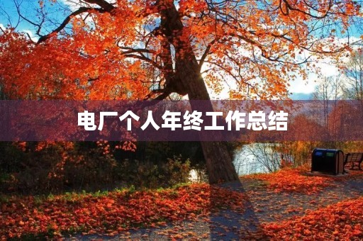 电厂个人年终工作总结