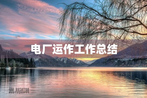 电厂运作工作总结