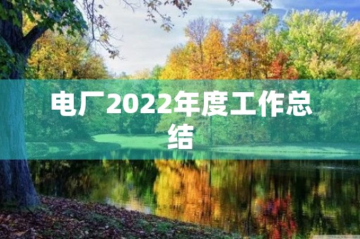 电厂2022年度工作总结