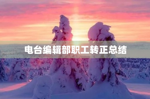 电台编辑部职工转正总结