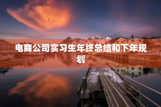 电商公司实习生年终总结和下年规划