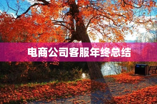 电商公司客服年终总结