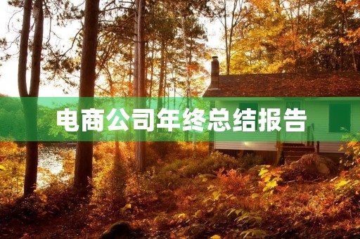 电商公司年终总结报告 电商公司年终总结报告
