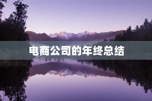 电商公司的年终总结