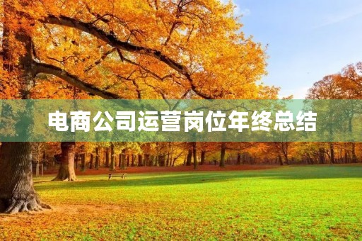 电商公司运营岗位年终总结
