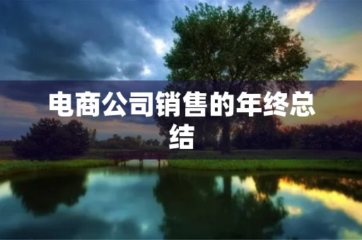 电商公司销售的年终总结