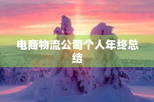 电商物流公司个人年终总结 电商物流公司个人年终总结
