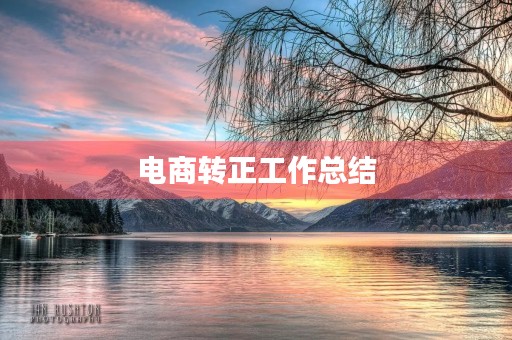 电商转正工作总结