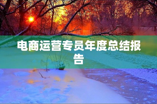 电商运营专员年度总结报告