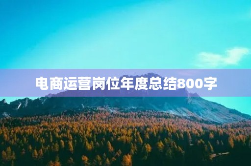 电商运营岗位年度总结800字