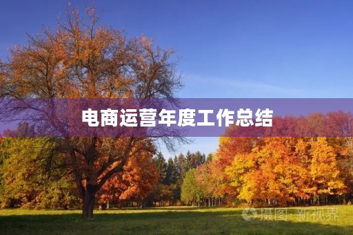 电商运营年度工作总结【7篇】