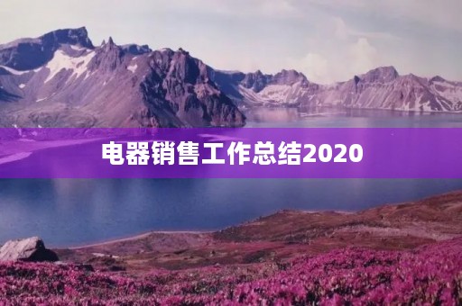 电器销售工作总结2020