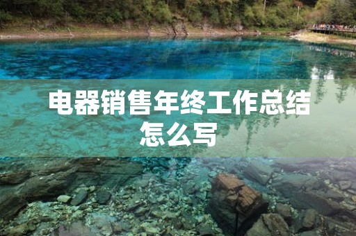 电器销售年终工作总结怎么写
