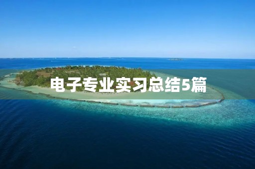 电子专业实习总结5篇