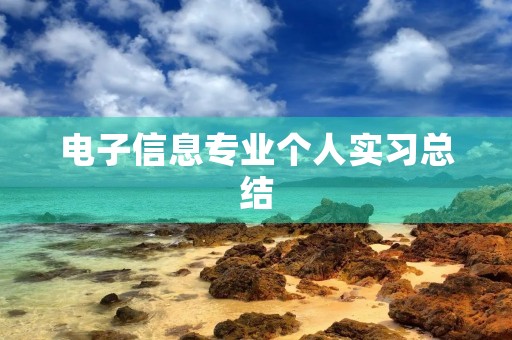 电子信息专业个人实习总结