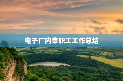 电子厂内审职工工作总结