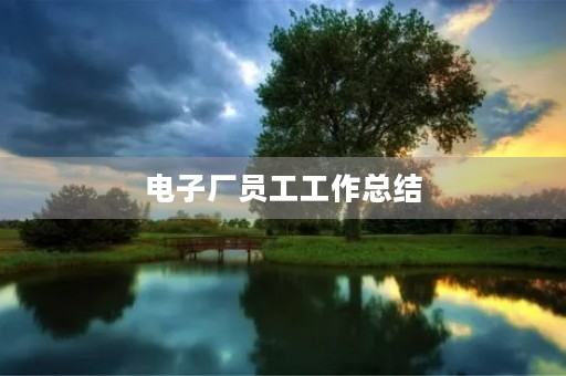 电子厂员工工作总结