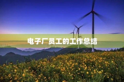电子厂员工的工作总结