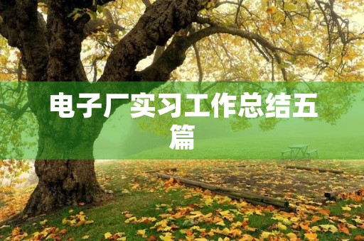 电子厂实习工作总结五篇 电子厂实习工作总结五篇