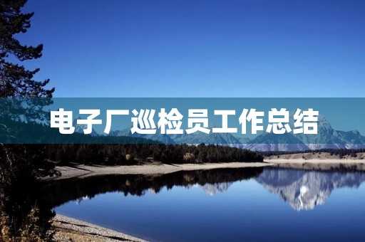 电子厂巡检员工作总结
