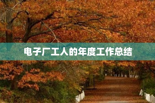 电子厂工人的年度工作总结