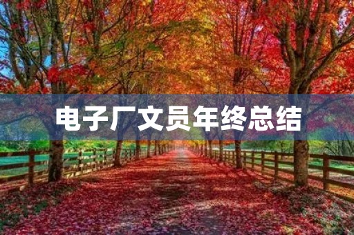 电子厂文员年终总结 电子厂文员年终总结