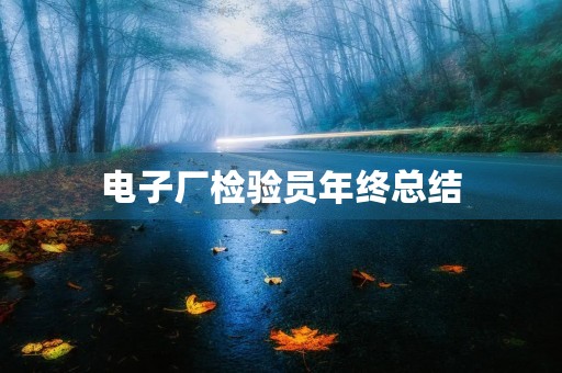 电子厂检验员年终总结 电子厂检验员年终总结