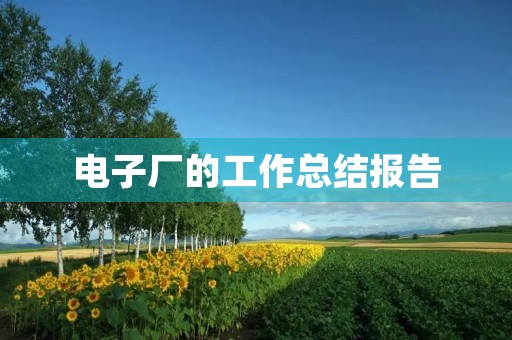电子厂的工作总结报告