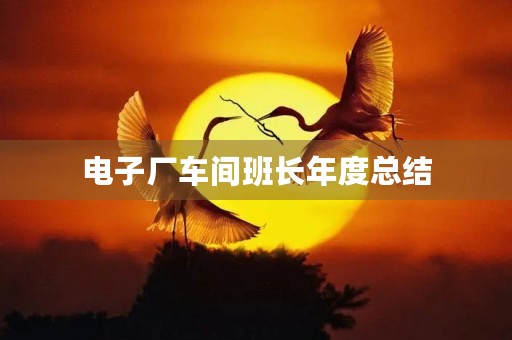 电子厂车间班长年度总结