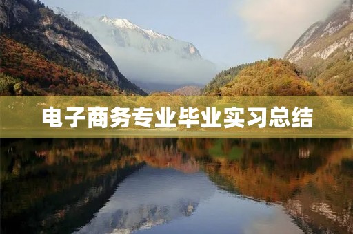 电子商务专业毕业实习总结