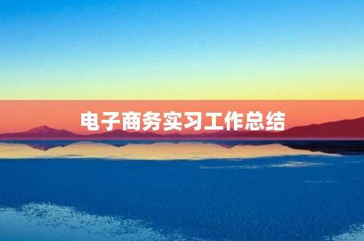 电子商务实习工作总结 电子商务实习工作总结