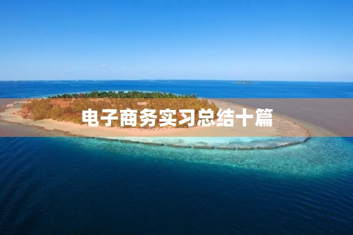 电子商务实习总结十篇