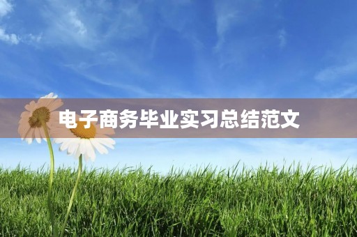 电子商务毕业实习总结范文