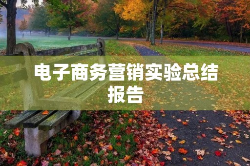 电子商务营销实验总结报告