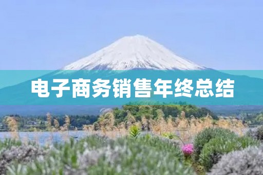 电子商务销售年终总结 电子商务销售年终总结