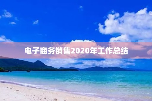 电子商务销售2020年工作总结