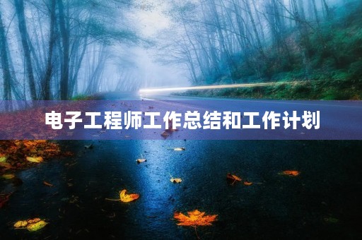 电子工程师工作总结和工作计划