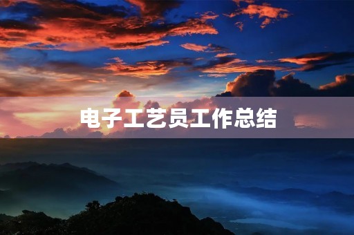 电子工艺员工作总结