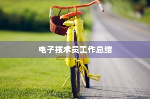 电子技术员工作总结