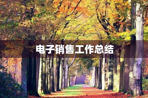 电子销售工作总结