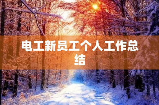 电工新员工个人工作总结