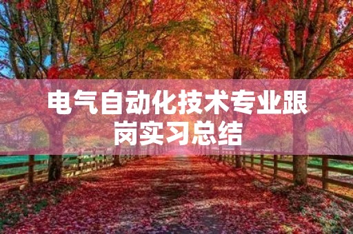 电气自动化技术专业跟岗实习总结