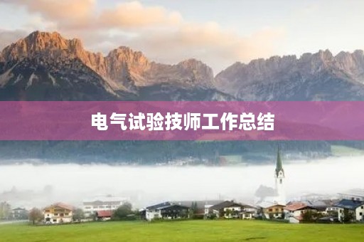 电气试验技师工作总结
