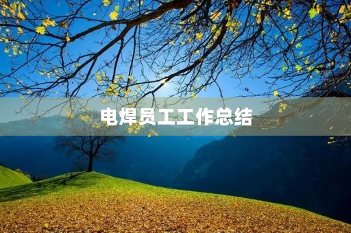 电焊员工工作总结