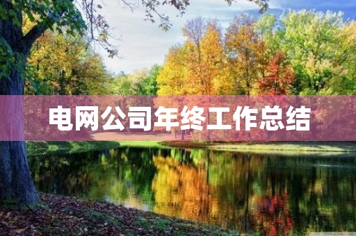 电网公司年终工作总结