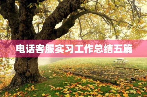 电话客服实习工作总结五篇 电话客服实习工作总结五篇