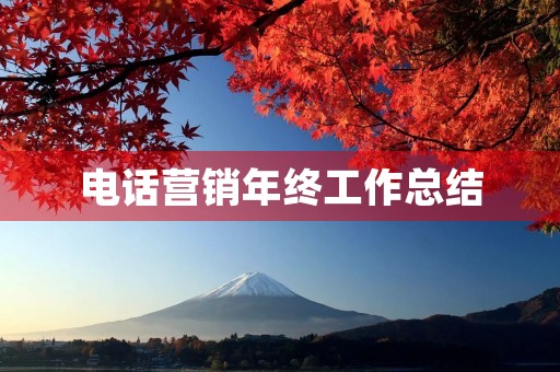 电话营销年终工作总结