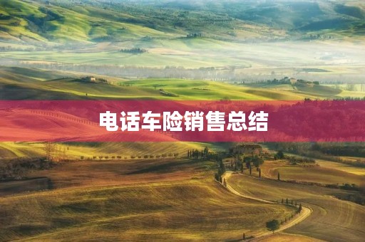 电话车险销售总结
